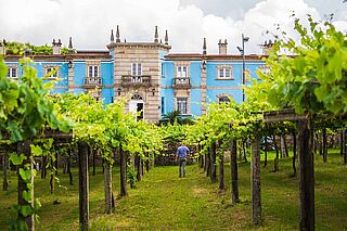 Anwesen des Weinguts Granbazan hinter Weinreben Anwesen des Weinguts Granbazan hinter Weinreben