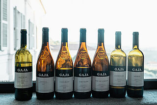 Gaja årsrapport 2020