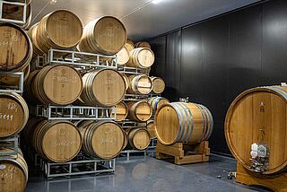 Weinkeller von Villa Saletta