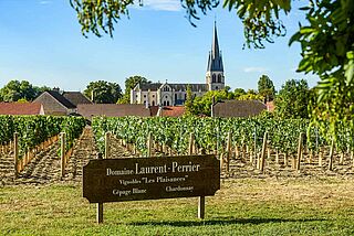 Weinfeld Laurent-Perrier mit Kirche im Hintergrund