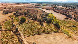 Blick auf die Weinberge