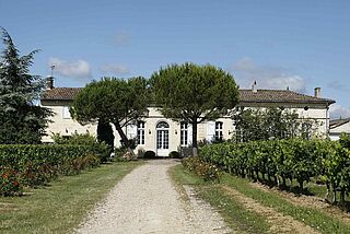 Chateau Bel Air Winery Vin