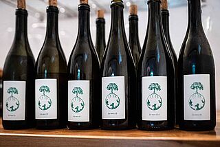 Weingut Werlitsch Wein