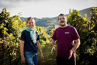 Winzer auf dem Weinfeld Doniene Gorrondona