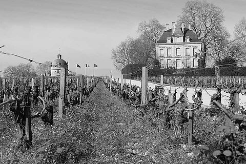 Château Latour