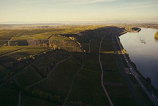 Battenfeld-Spanier & Kühling-Gillot