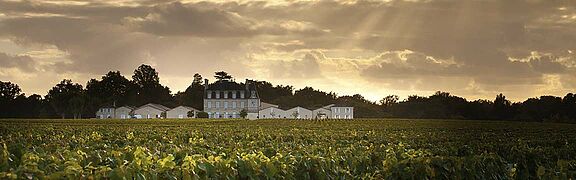 Pauillac Wein