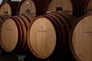 Weinfässer im Weinkeller