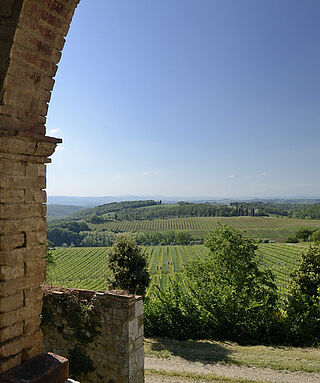 Felsina Felsina Weinfeld