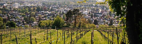 Bergstraße Panorama
