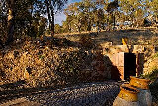 Weinberg und Weinlagerung bei Giaconda