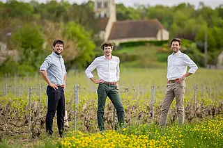 Die Winzer von Gimonnet und Fils vor den Weinreben