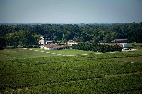 Chateau Olivier Weinberge mit Weingut