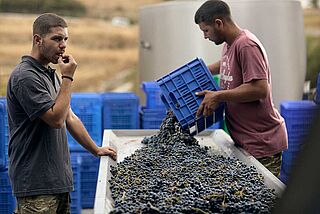 T-Oinos am Rüttletisch