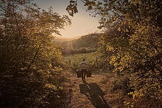Weingut von Thymioploulos