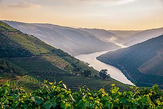 Atemberaubende Landschaft im Douro Tal