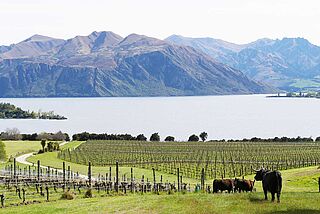 Rippon panoramavinmarker ved søen med bjerge i baggrunden