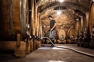 Bürklin Wolf Weinkeller