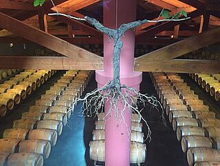 Lafon Rochet Saint Estephe