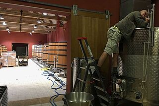 Weinkeller Michel Mallard