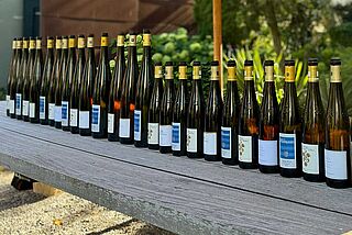 Wittmann, Christmann og Rebholz