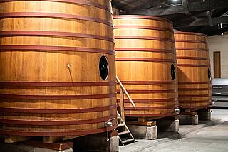 Weinfässer im Weinkeller Guillot Clauzel