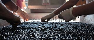 Udvælgelse af druer