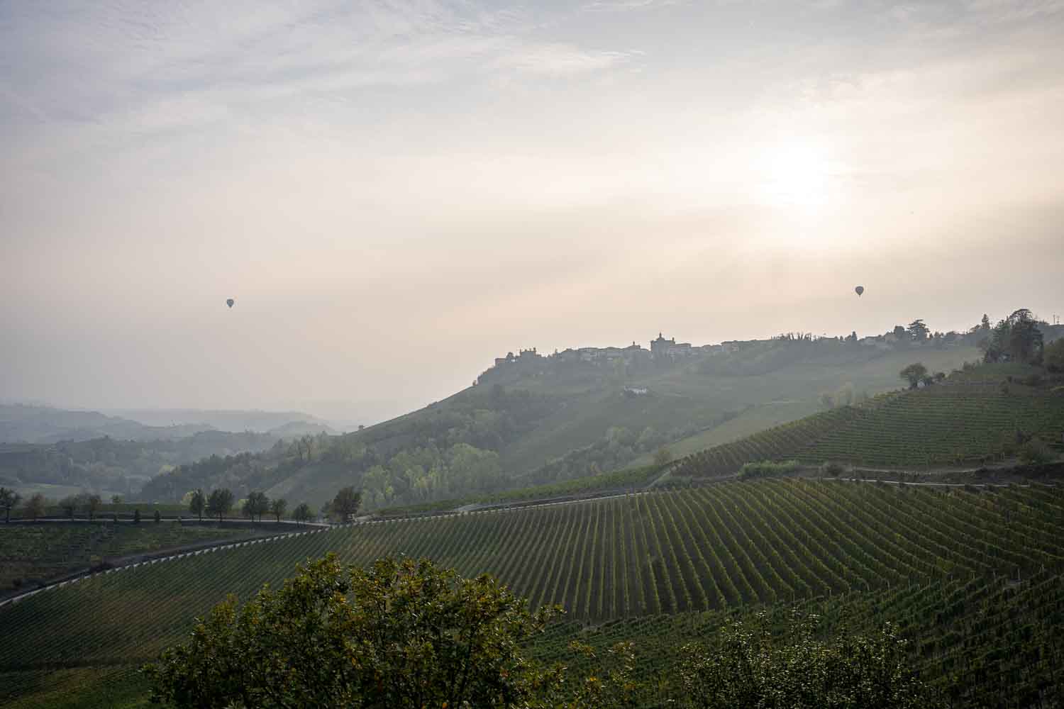 La Morra im Morgennebel