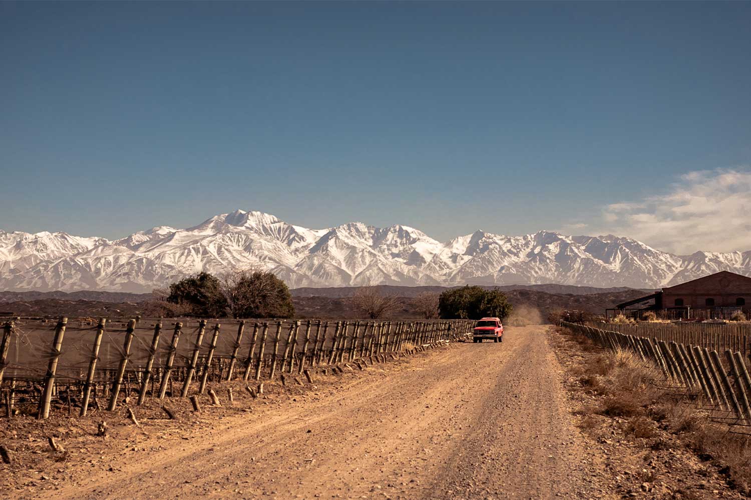 Weinberge vor Gebirge bei Altos Las Hormigas