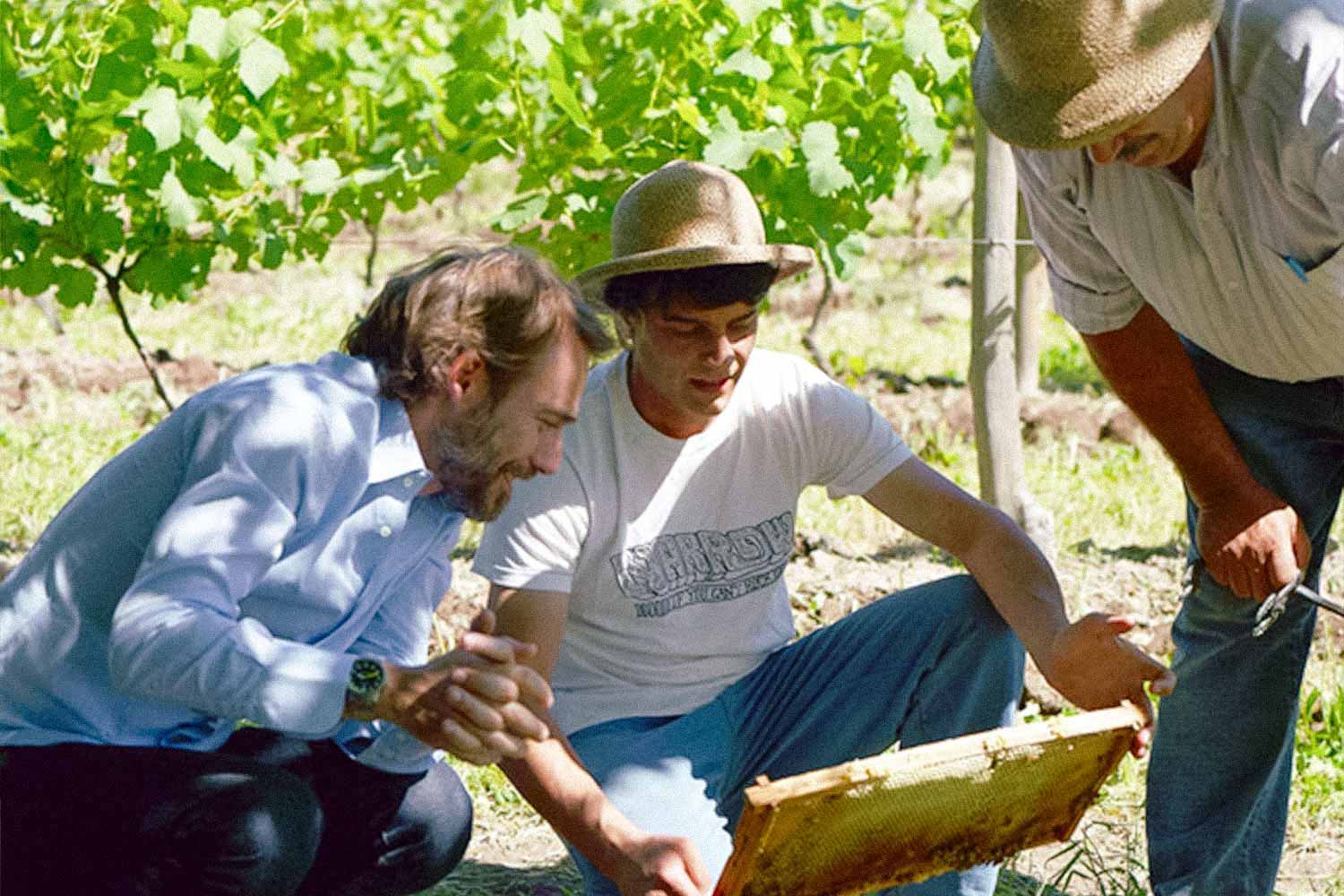 Bodegas Chacra - Winzer im Weinberg am Bienstock