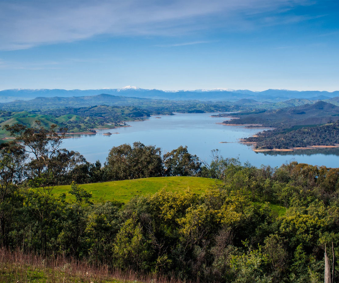 Weinland Australien, Weinanbau, blauer Himmel