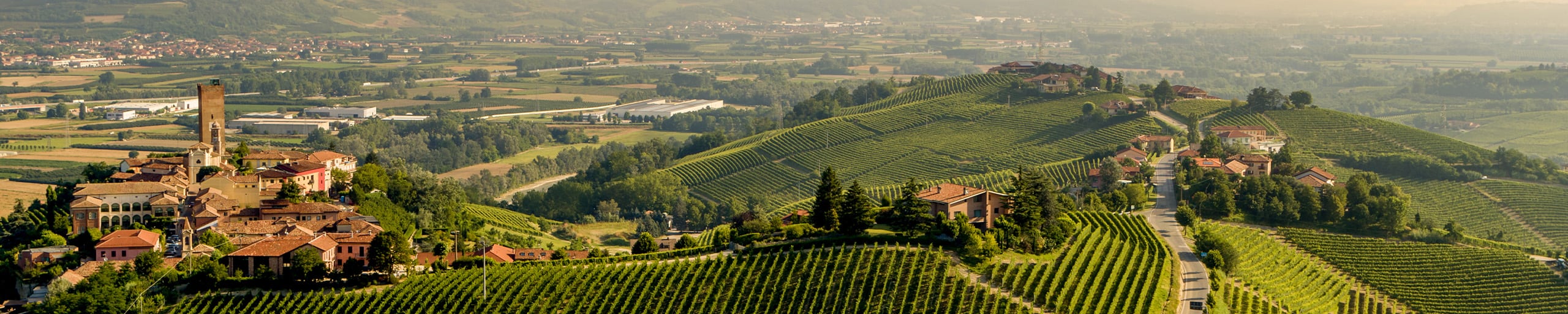 Barbaresco