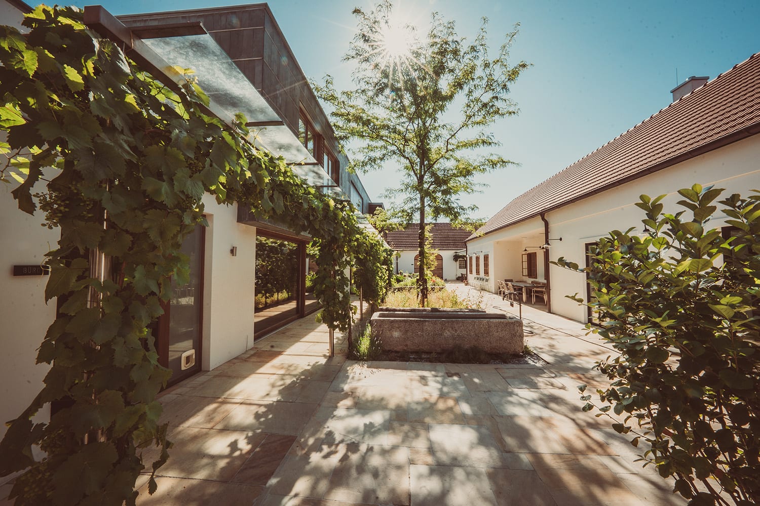 Im Innenhof des Weinguts