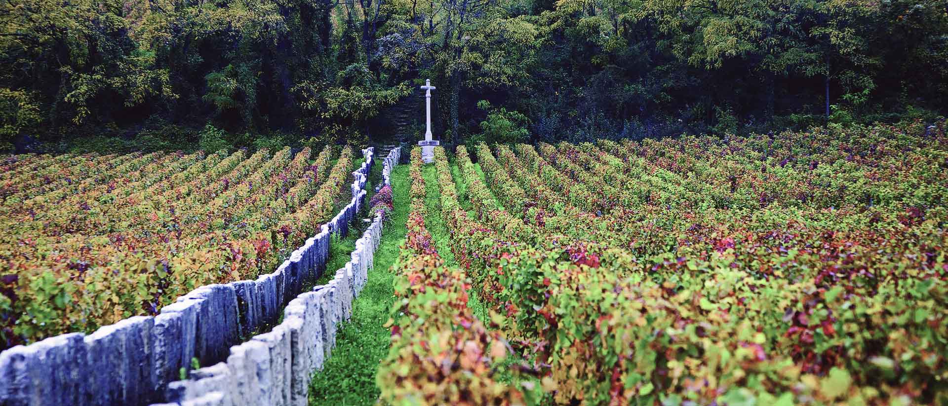 Das Appellations-System im Burgund