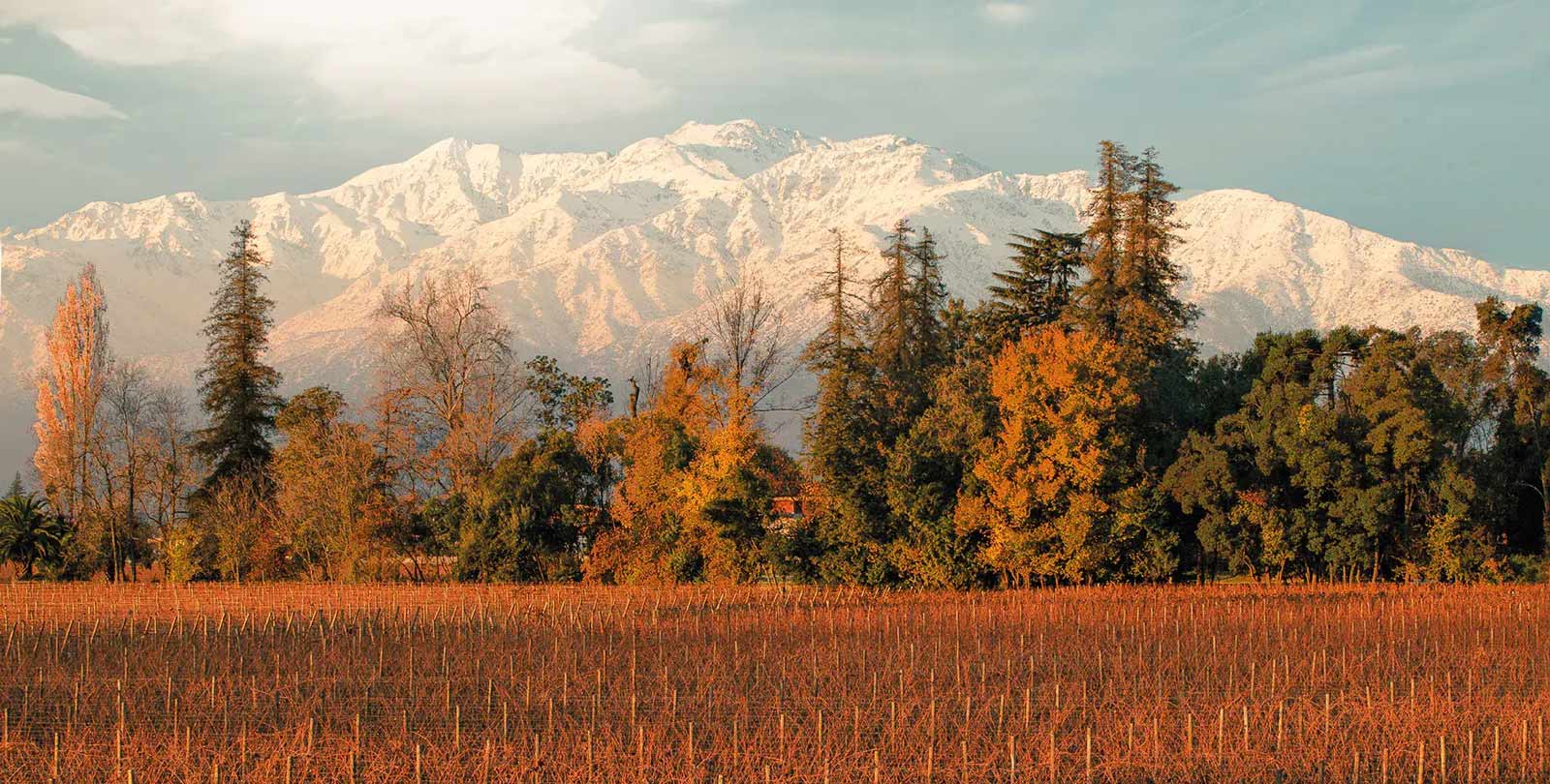 Berge im Hintergrund