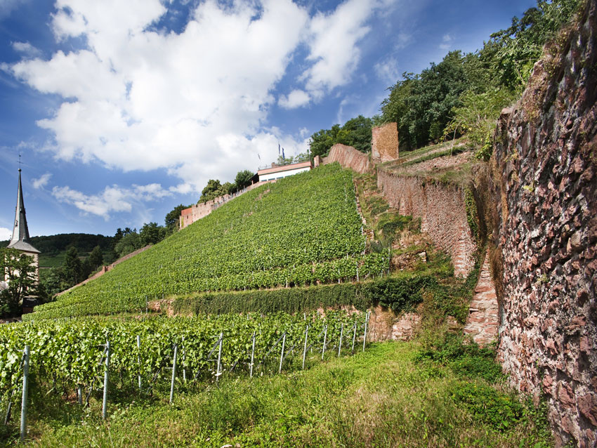 Weinregion Franken, Weinberg mit Hang und Mauer