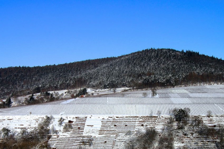 Weinregion Franken im Winter