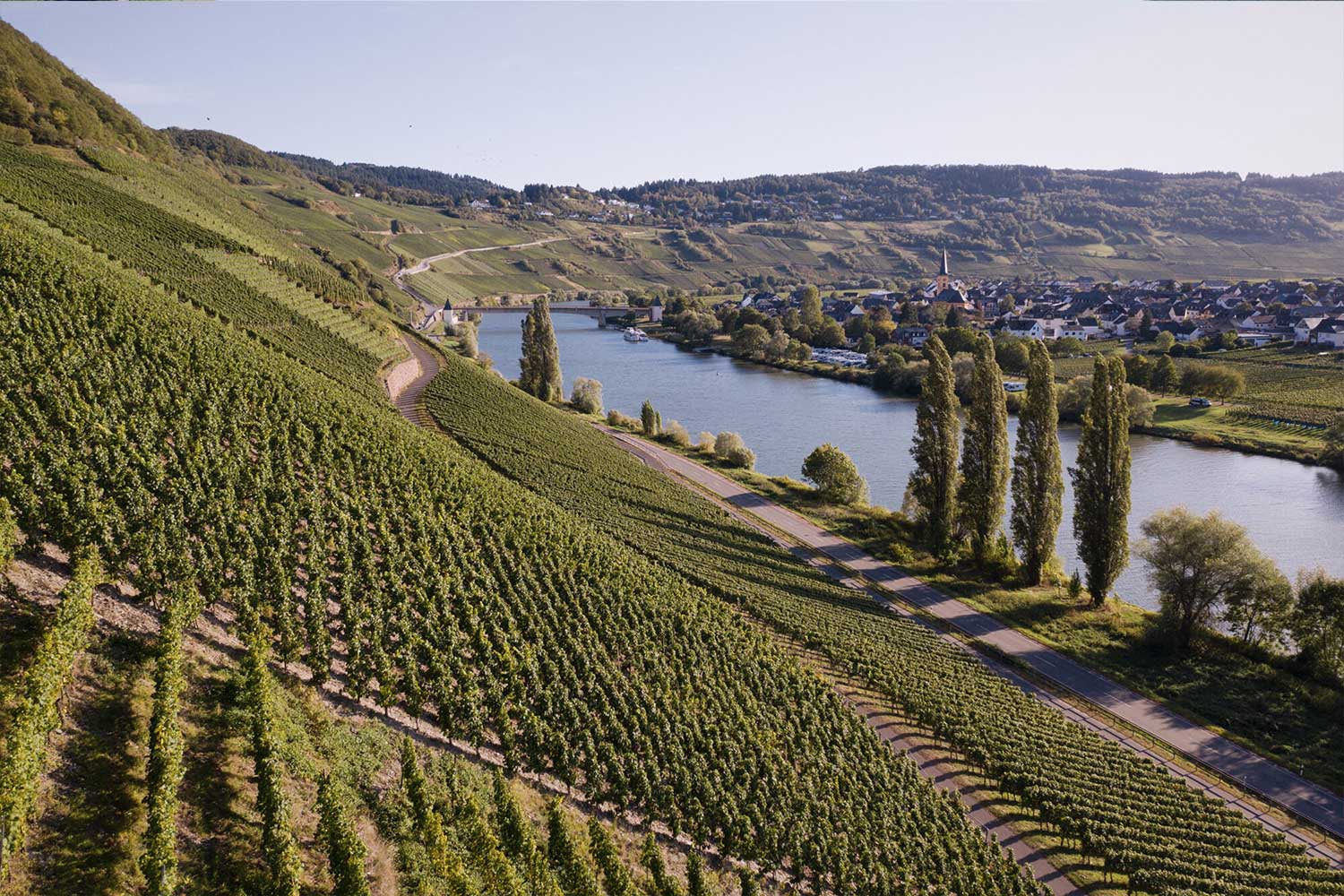 Weinberge Trittenheim von Ansgar Clüsserath an Mosel
