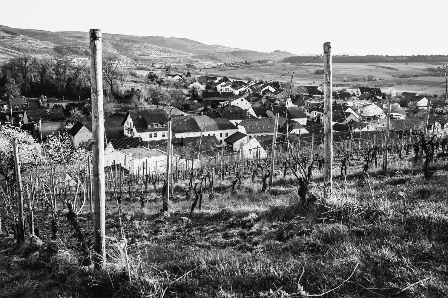Dorf gesehen vom Weinberg bei Hofgut Falkenstein