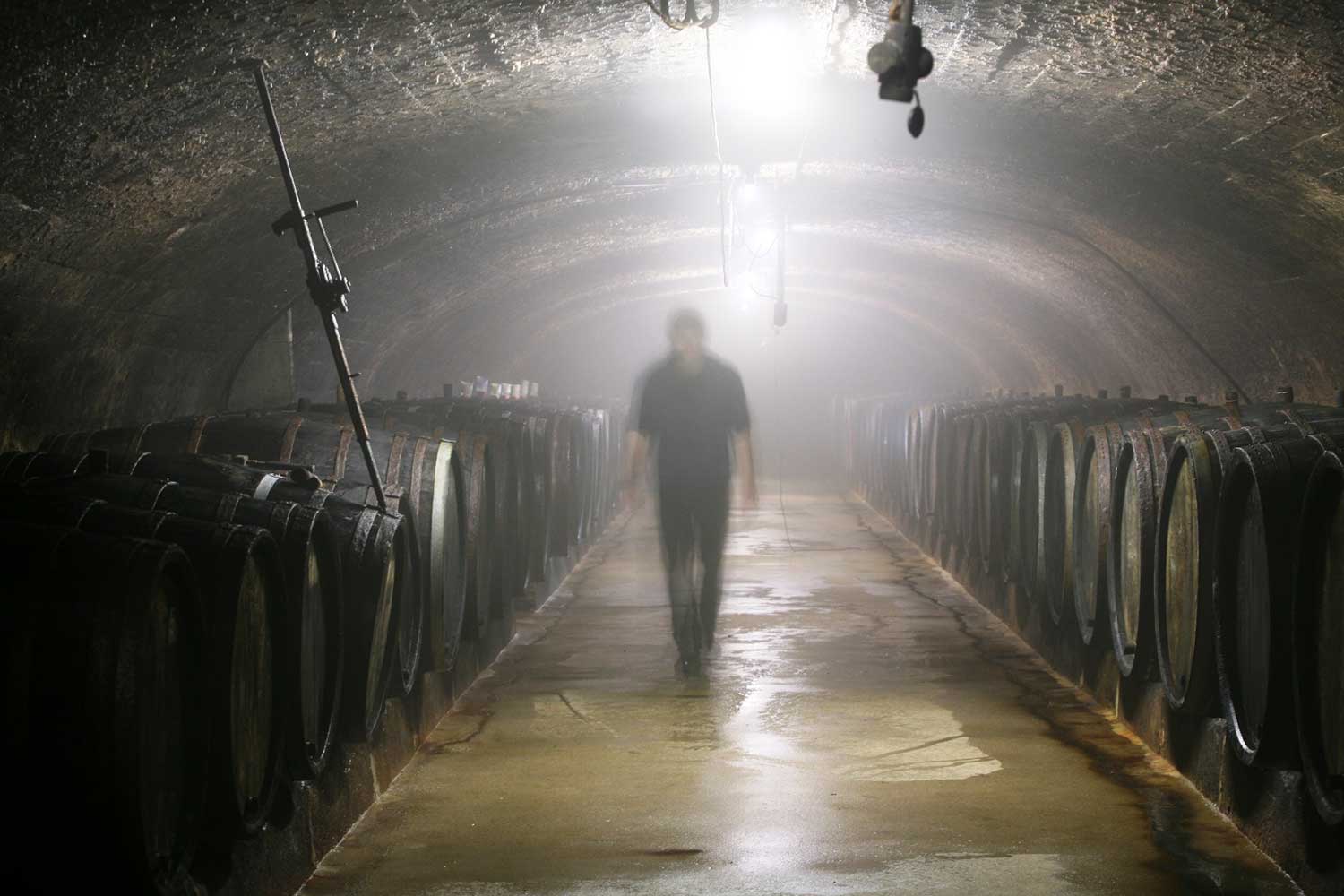 Weingut Max Ferd. Richter 