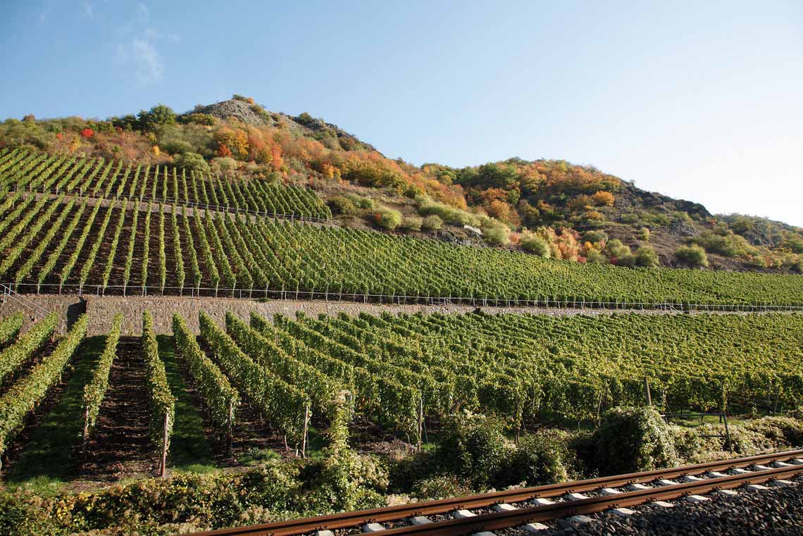 Weinregion Nahe, Weinberg bei blauem Himmel