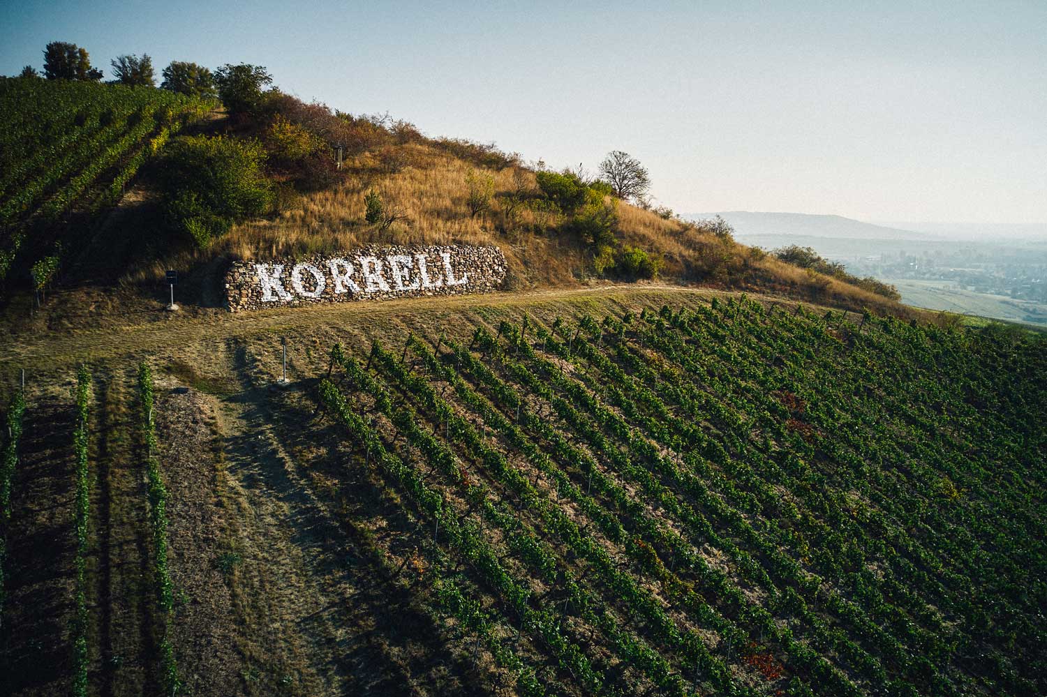 Weinberge vom Weingut Korrell mit Name in Stein
