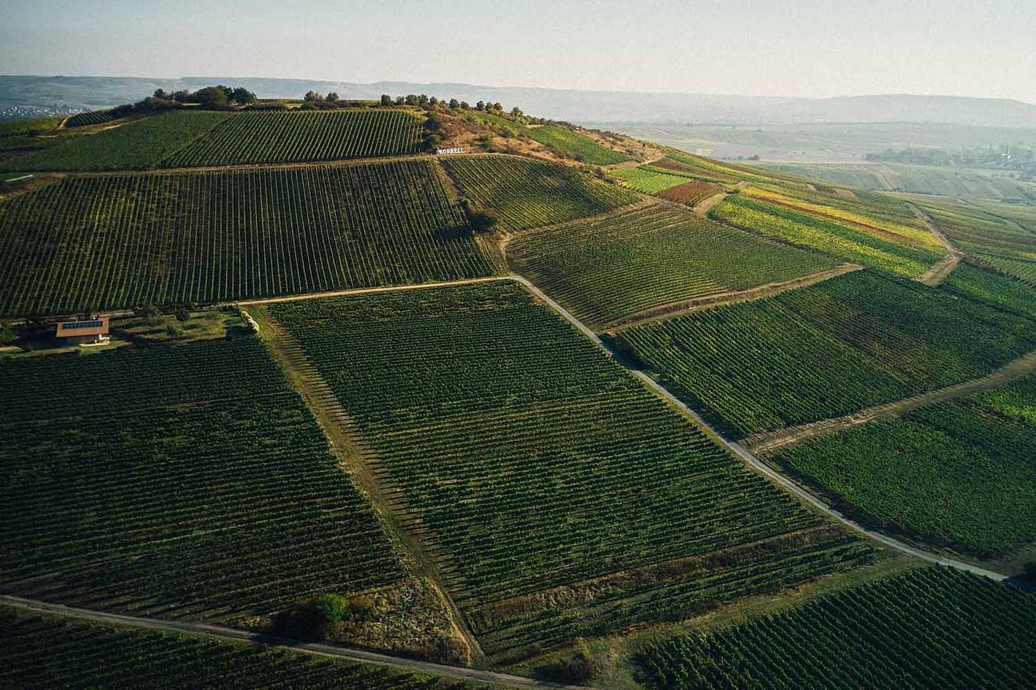 Luftaufnahme der Weinberge bei Korrell