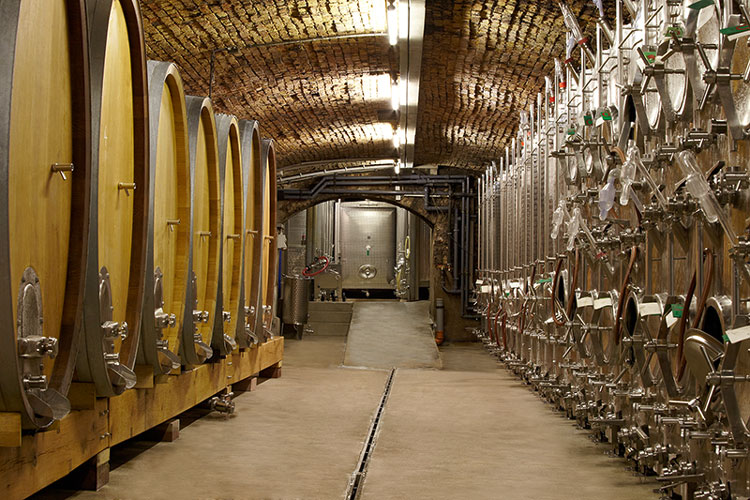 Weinregion Pfalz, Weinkeller und Faesser