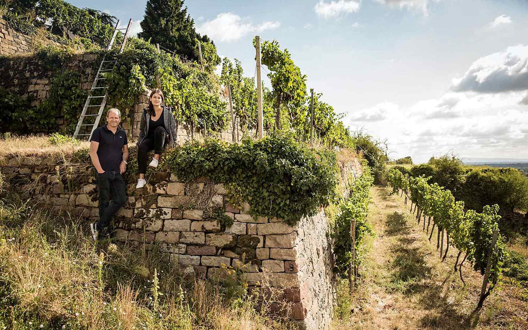 Weinberge von Christmann