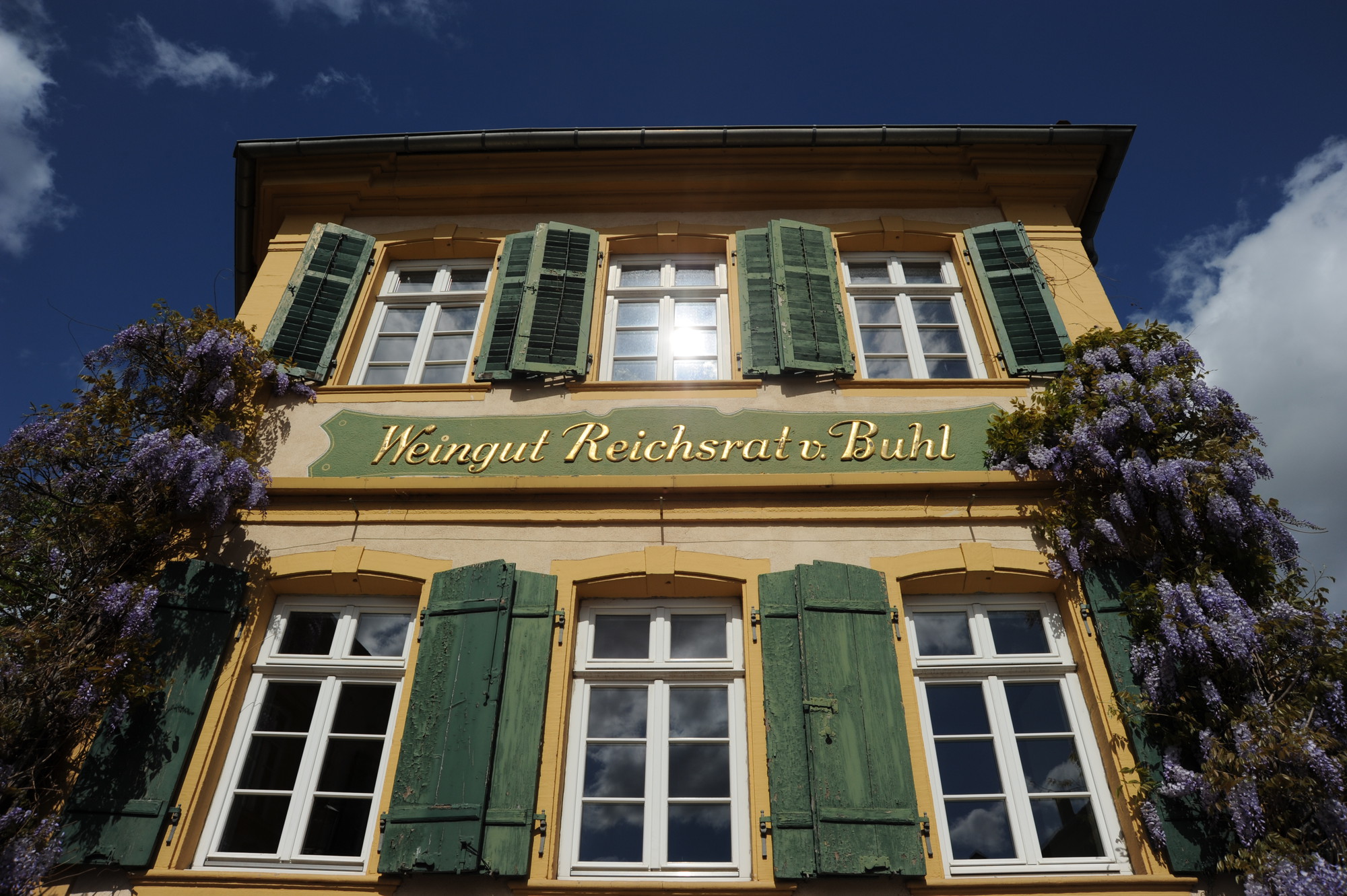 Weine vom Weingut Reichsrat von Buhl Lobenbergs Gute Weine