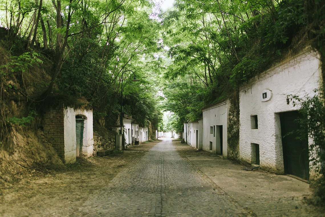 Ebner-Ebenauer