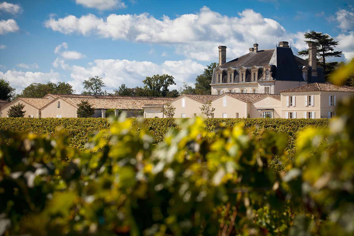 Bordeaux Wein Lobenbergs Gute Weine