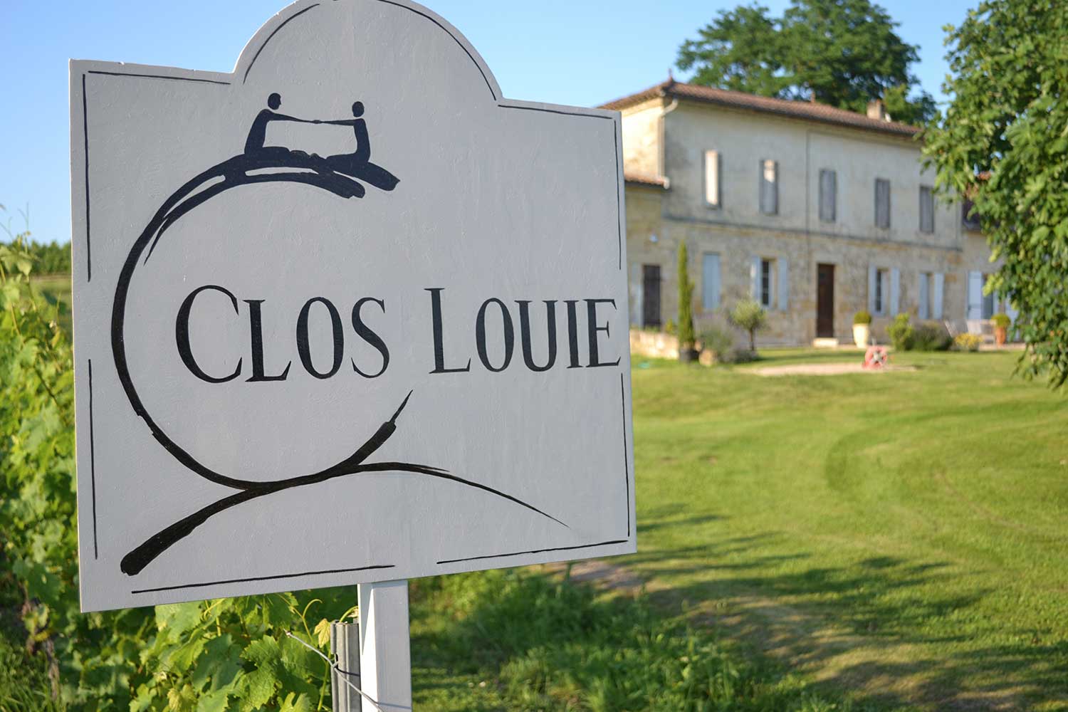 Weingut Clos Louie mit Weinfeld und Haus im Hintergrund