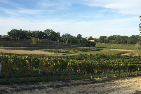 Chateau Le Rey